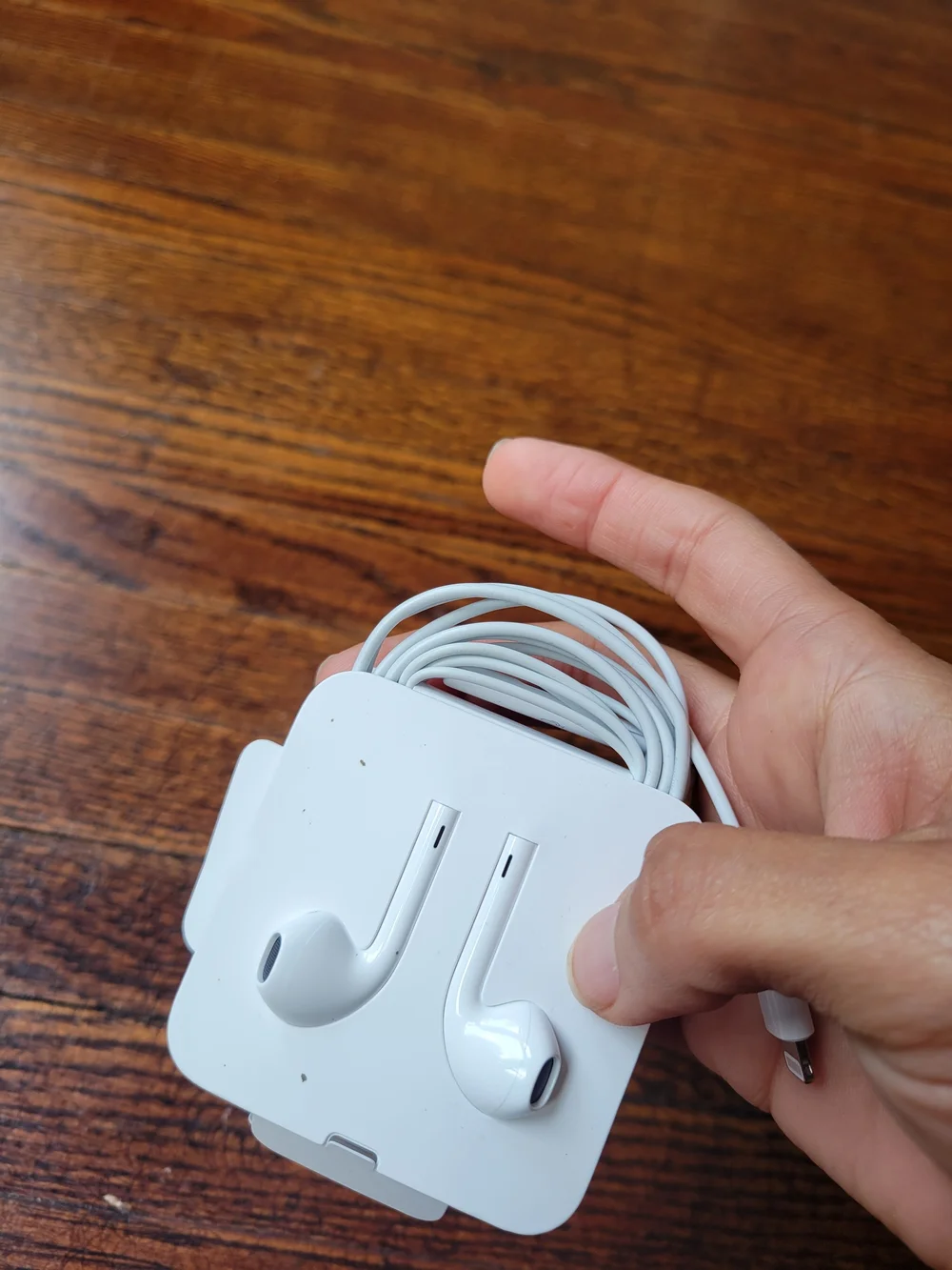 Apple Lightning Earpods + 3.5mm Adapter OEM Earbuds New
